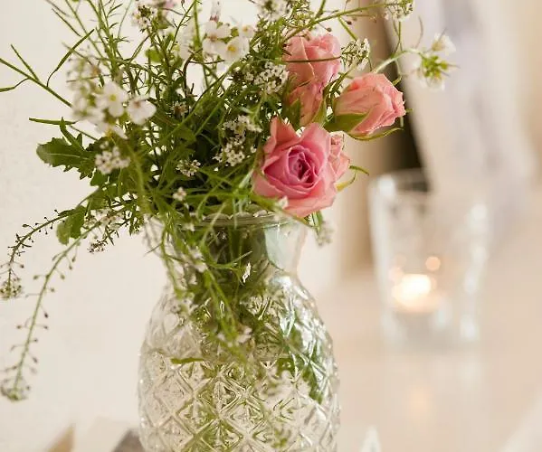 Arkhe Boutique Bed & Breakfast Pals