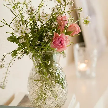 Arkhe Boutique B&B 팔스